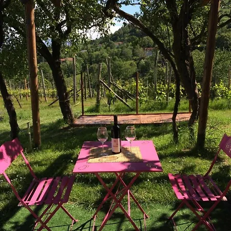 Landhuis Casa Aiva & Il Ciabutin, In Collina Tra I Vigneti Pinerolo
