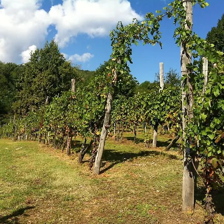 Landhuis Casa Aiva & Il Ciabutin, In Collina Tra I Vigneti