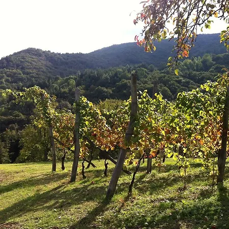 Casa Aiva & Il Ciabutin, In Collina Tra I Vigneti Pinerolo