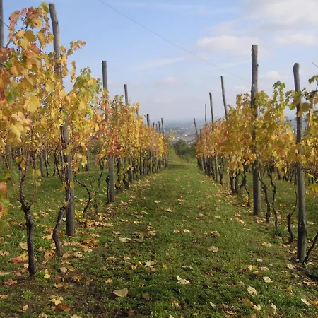 Casa Aiva & Il Ciabutin, In Collina Tra I Vigneti Pinerolo